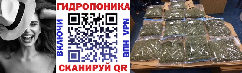 Купить наркоту Мончегорск Марихуана  СОЛЬ  КОКАИН  MEGA ссылка  Галлюциногенные грибы  Меф  Гашиш 