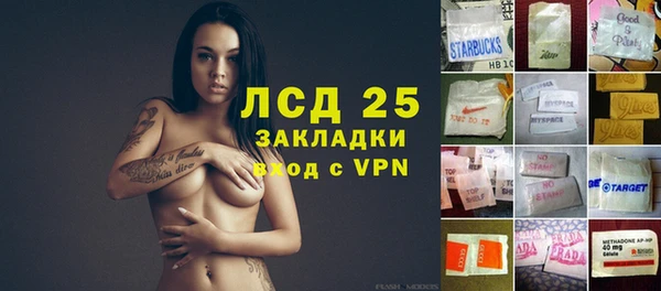 дживик Бородино