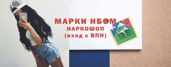 дживик Бородино