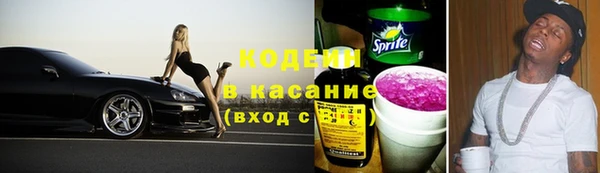 дживик Бородино