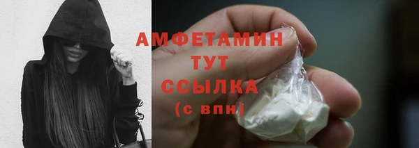 дживик Бородино