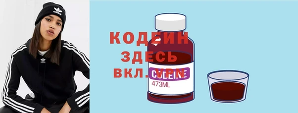 дживик Бородино