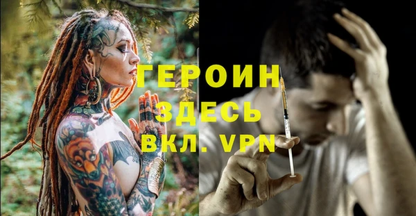 дживик Бородино