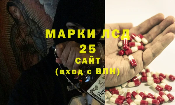 дживик Бородино