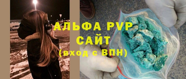 дживик Бородино