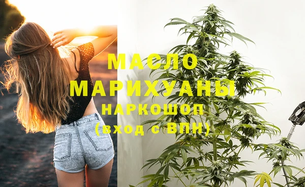 дживик Бородино