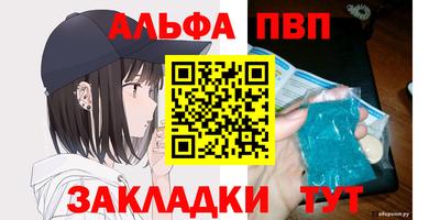 крисы Шебекино