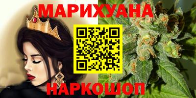 крисы Шебекино