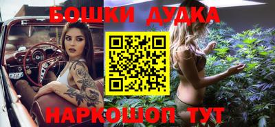 крисы Шебекино
