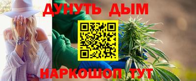 крисы Шебекино