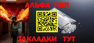крисы Шебекино
