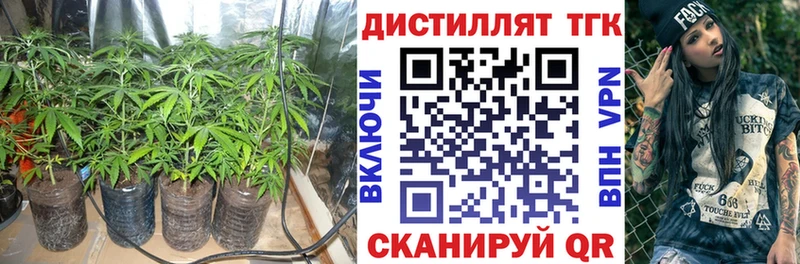 ТГК THC oil  цена наркотик  Мончегорск 