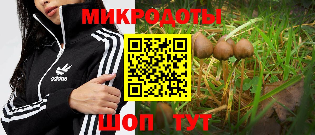 закладки  Псилоцибиновые грибы мицелий  Вход с VPN  Мончегорск 